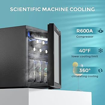 RU-♡ Amazon.com: Feelfunn Beverage Refrigerator Cooler - 12